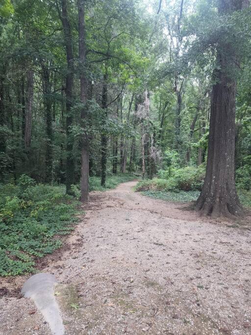 Spotless 4Br Near Clt Uptown, Fast Wi-Fi Leilighet Charlotte Eksteriør bilde